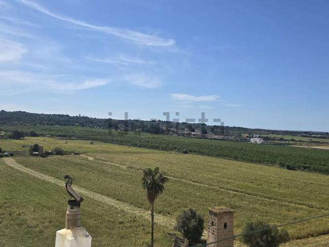 Piso, Sant Jordi, Palma de Mallorca