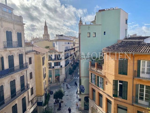 Piso, Sant Nicolau, Palma de Mallorca