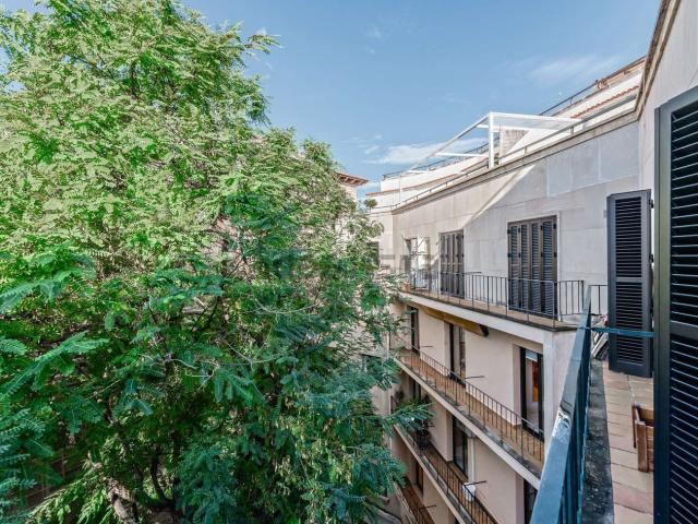 Piso, Sant Nicolau, Palma de Mallorca