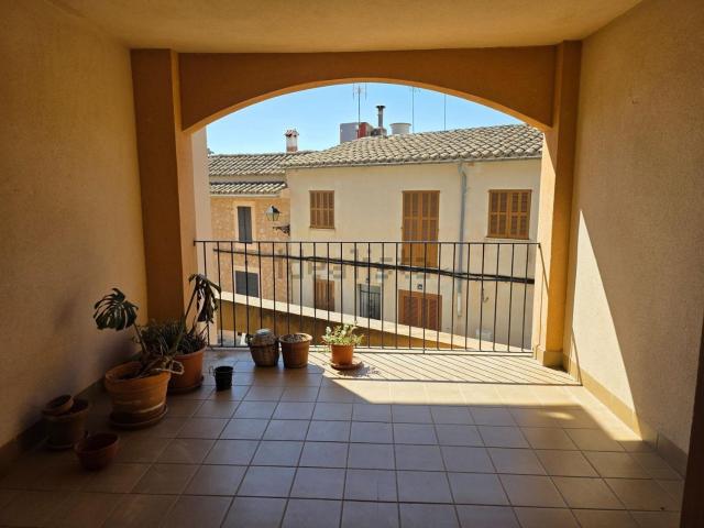 Piso, Santa Maria del Cami