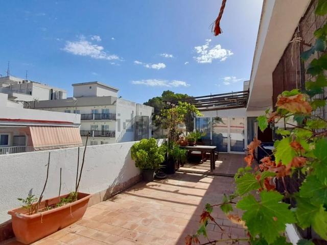Piso, Ses Cadenes Arenal, Palma de Mallorca