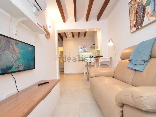 Piso, Sindicat, Palma de Mallorca
