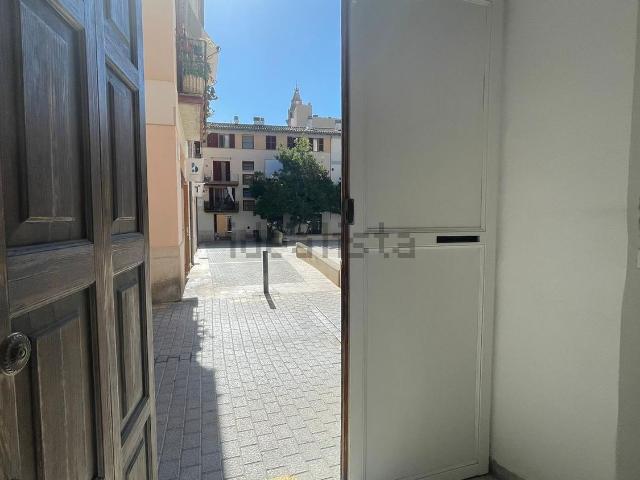 Piso, Sindicat, Palma de Mallorca