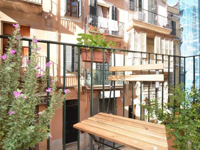 Piso, Sindicat, Palma de Mallorca