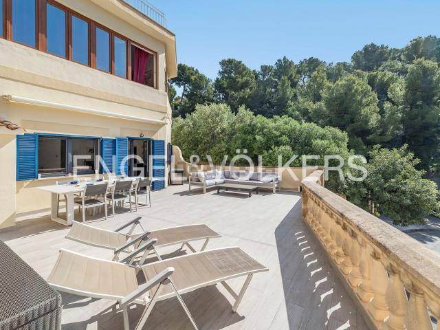 Piso, Soller
