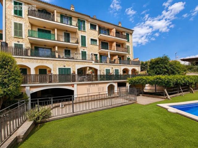 Piso, Soller