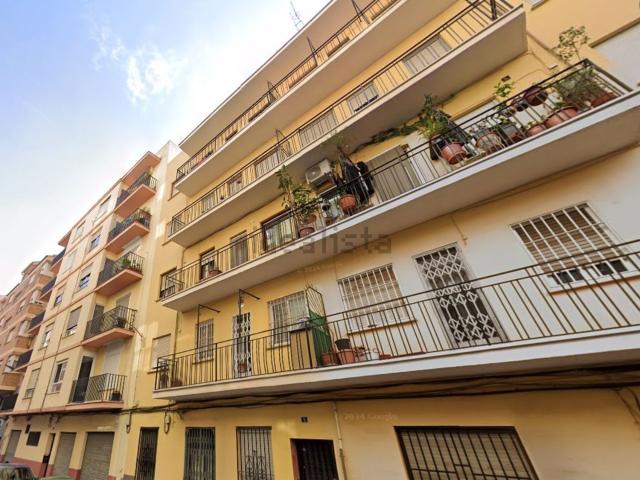 Piso, Soneja