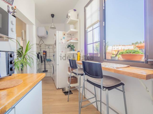 Piso, Teror