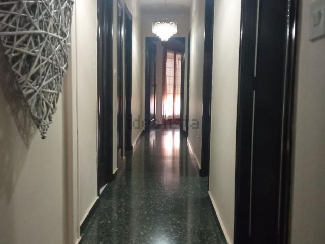 Piso, Tomelloso