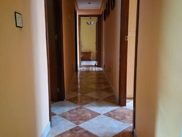 Piso, Toro