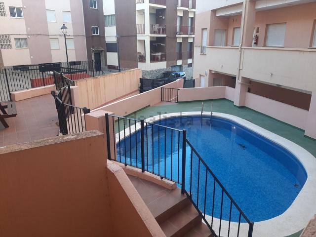 Piso, Toras
