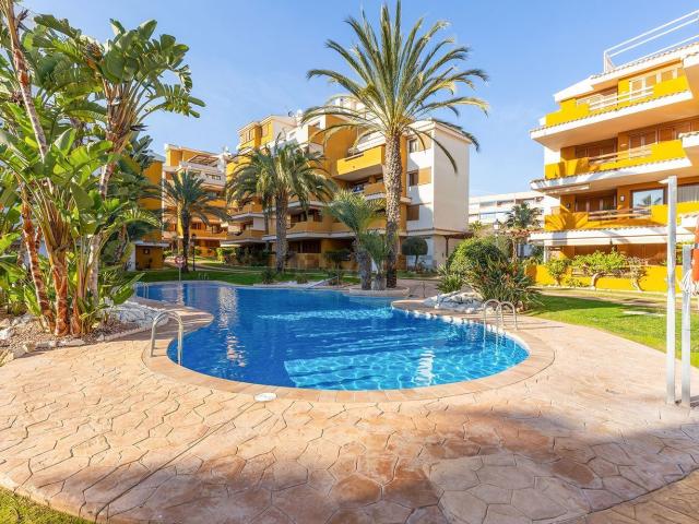Piso, Torrevieja