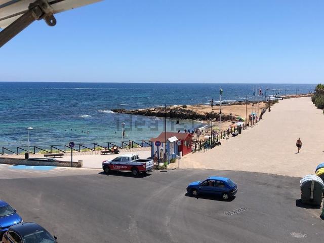 Piso, Torrevieja
