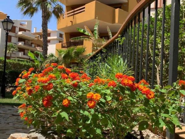 Piso, Torrevieja