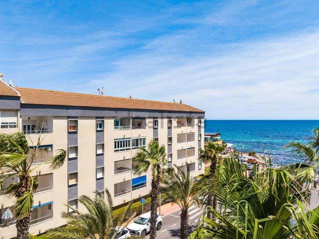 Piso, Torrevieja