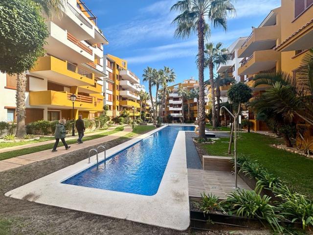 Piso, Torrevieja
