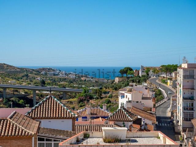 Piso, Torrox