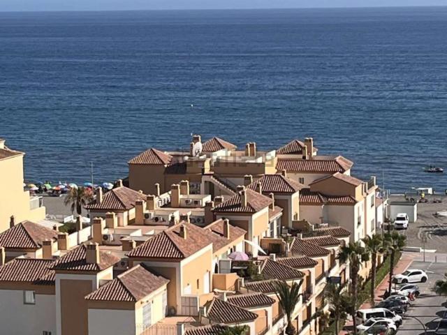 Piso, Torrox