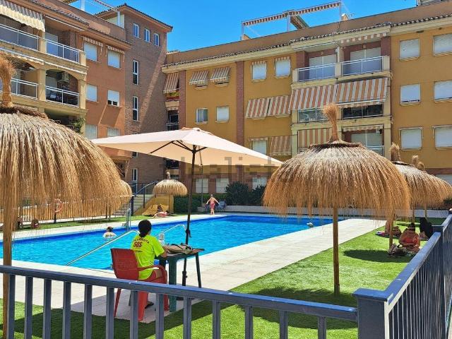Piso, Torrox