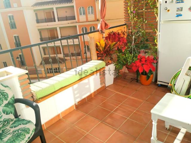Piso, Torrox