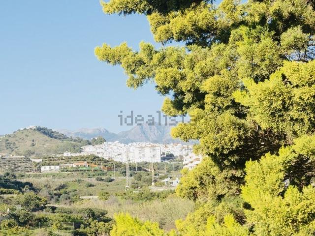 Piso, Torrox