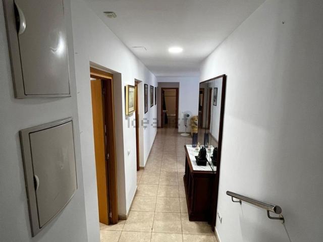 Piso, Tortosa