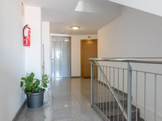 Piso Venta Murcia Capital, Los Dolores