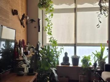 Calle de Melisa, Plaza de Carabanchel