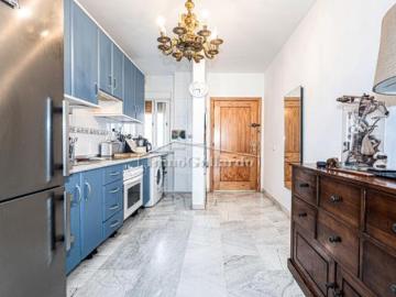 Palmeral de las Sorpresas, Casco Antiguo de Málaga, Málaga, Málaga, Andalucía, Andalucía