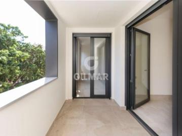 Palmeral de las Sorpresas, Casco Antiguo de Málaga, Málaga, Málaga, Andalucía, Andalucía