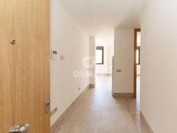 Palmeral de las Sorpresas, Casco Antiguo de Málaga, Málaga, Málaga, Andalucía, Andalucía