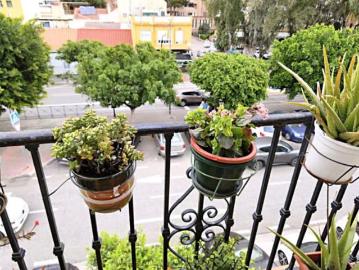 Piso Venta Málaga Capital, Ciudad Jardín