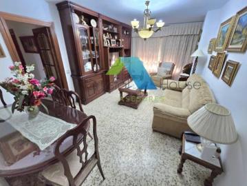 Palmeral de las Sorpresas, Casco Antiguo de Málaga, Málaga, Málaga, Andalucía, Andalucía