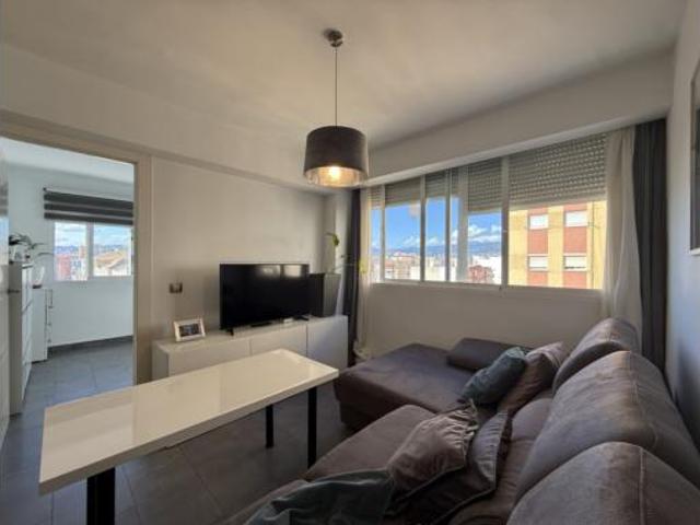 Piso Venta Málaga Capital, Huelin La Princesa Jardín de la Abadía