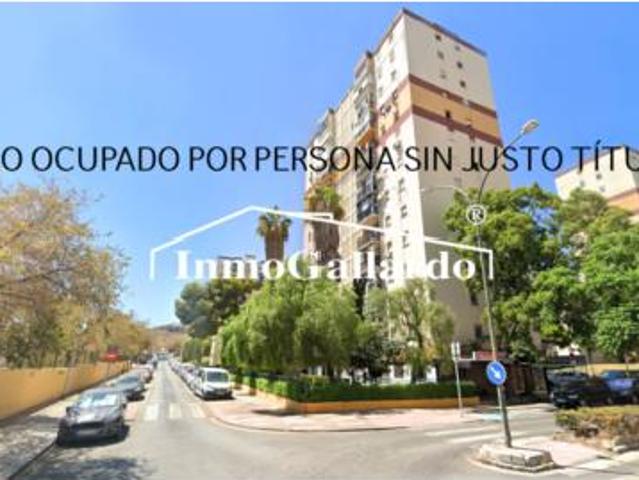 Piso Venta Málaga Capital, La Virreina Jardín Botánico La Rosaleda