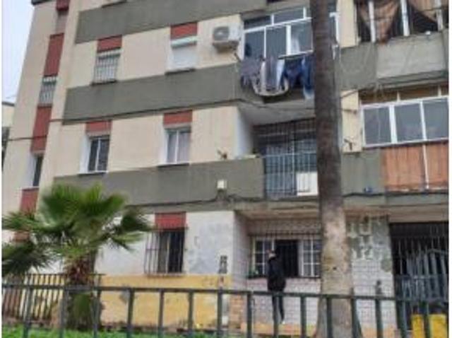 Piso Venta Málaga Capital, La Virreina Jardín Botánico La Rosaleda