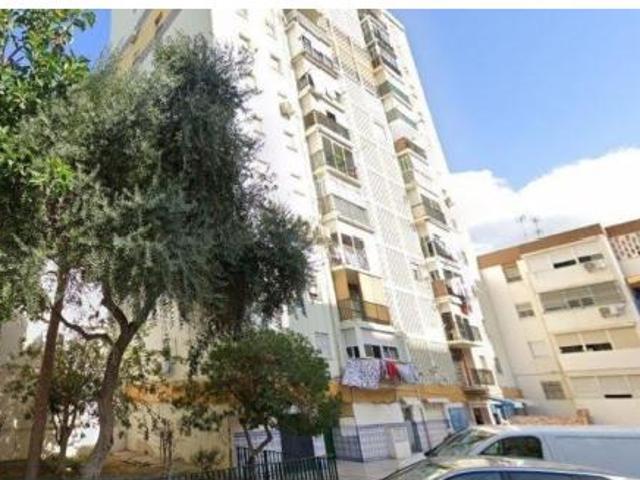 Piso Venta Málaga Capital, La Virreina Jardín Botánico La Rosaleda