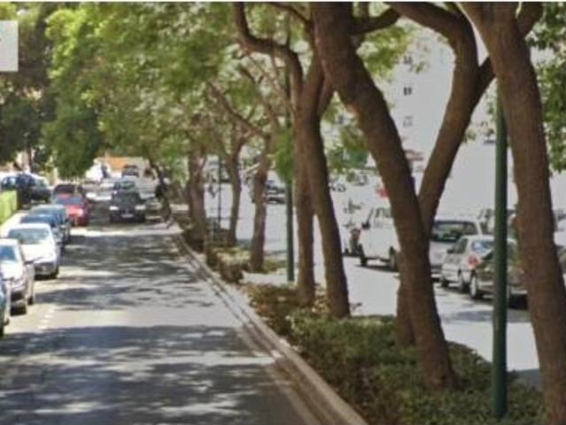 Piso Venta Málaga Capital, La Virreina Jardín Botánico La Rosaleda