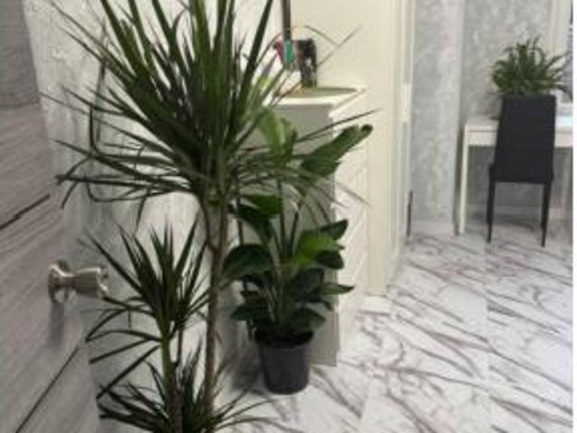 Piso Venta Mislata, Jutjats