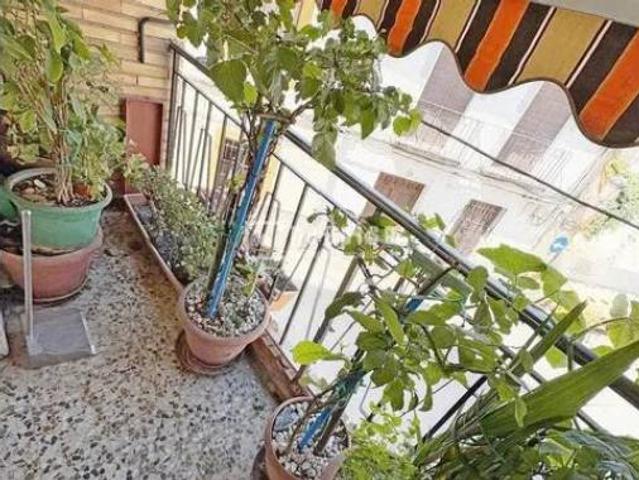 Piso Venta Molina de Segura, Área de Molina de Segura