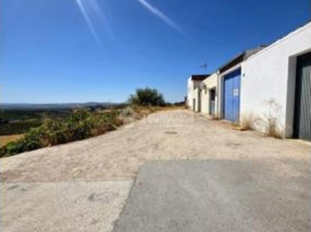 Piso Venta Montilla, Montilla
