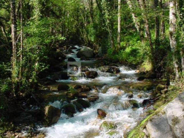 Piso Venta Nogueira de Ramuín, Luintra