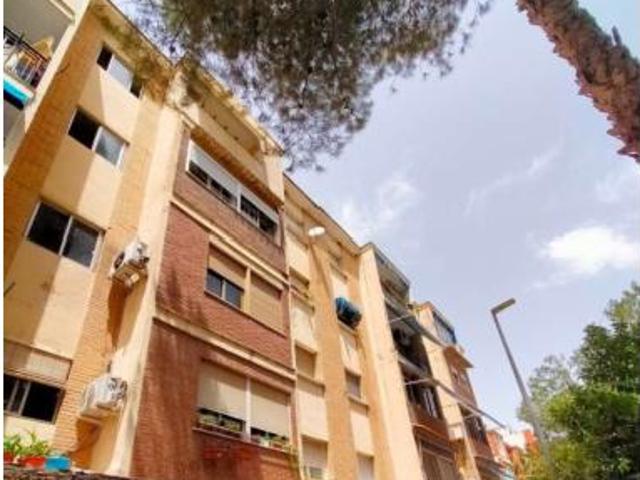 Piso Venta Orihuela, Núcleo Urbano