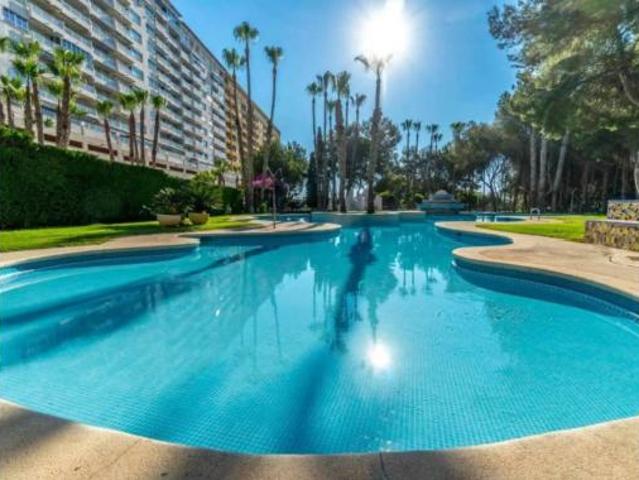 Piso Venta Orihuela, Orihuela Costa