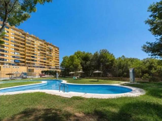 Piso Venta Orihuela, Orihuela Costa