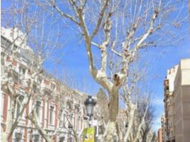 Piso Venta Albacete Capital, Centro Villacerrada Pajarita