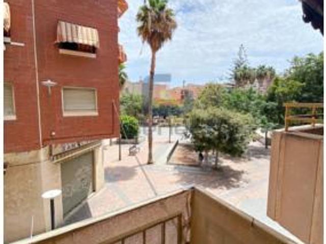 Piso Venta Alicante Alacant, Florida Ciudad de Asís