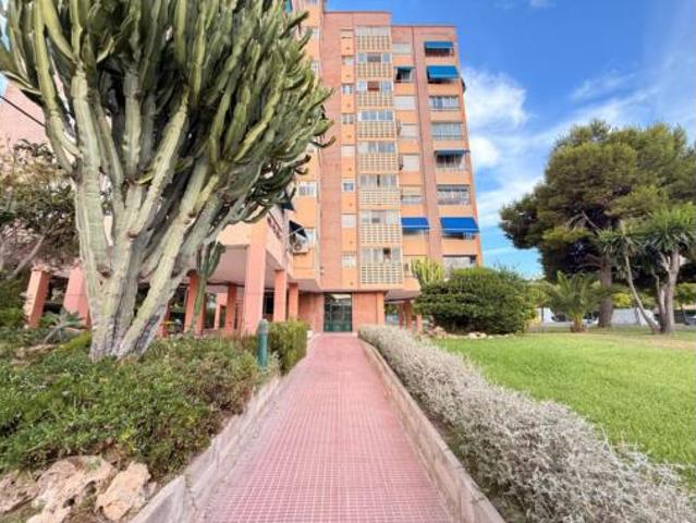Piso Venta Alicante Alacant, San Blas