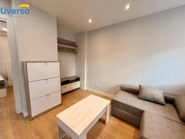 Piso Venta Burgos Capital, San Pedro y San Felices San Agustín Parque Europa