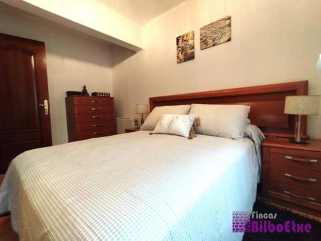 Piso Venta Basauri, San Miguel